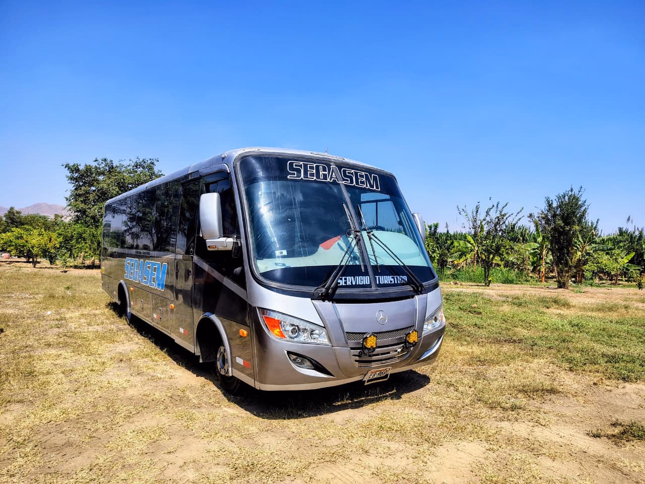 Bus Turístico
